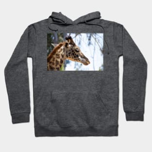 Giraffe Portrait Hoodie